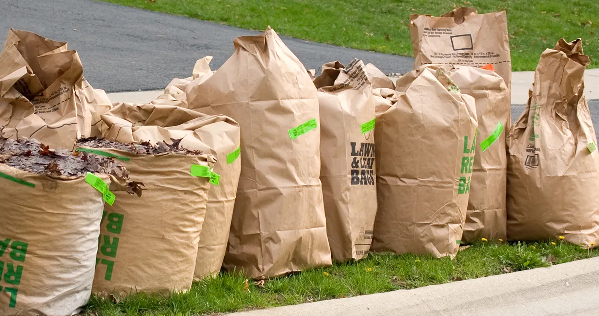 yard waste in bags